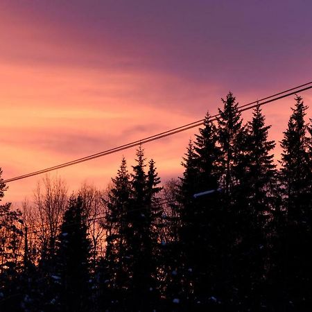 Koselig Hytte I Hemsedal Exterior photo