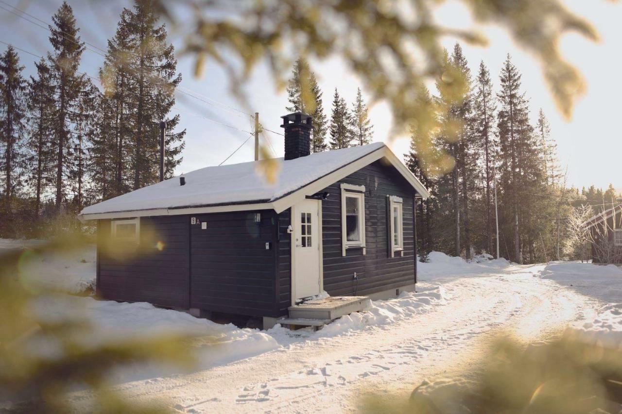 Koselig Hytte I Hemsedal Exterior photo